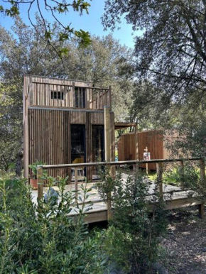 Ma cabane sous les arbres